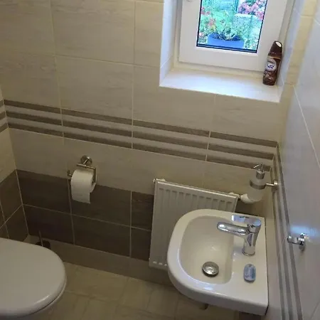 Boruvka Apartment *