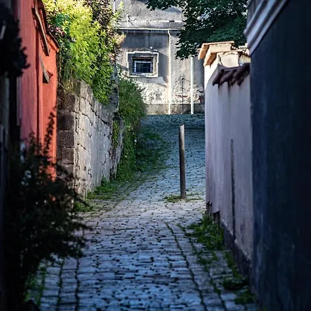 Apartmán Borůvka