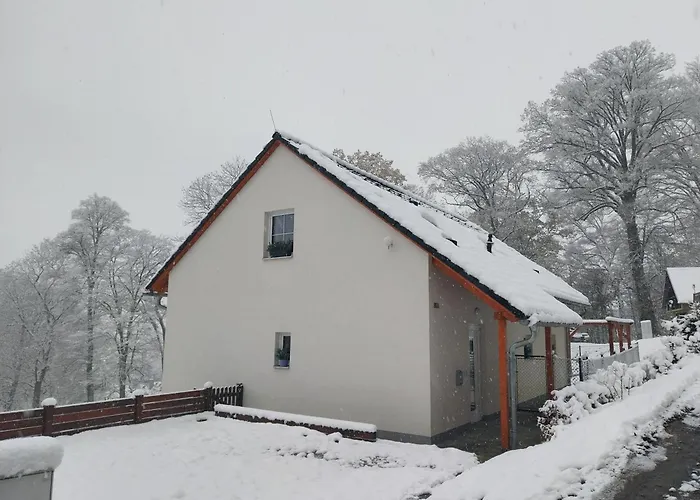 Boruvka Ceska Kamenice