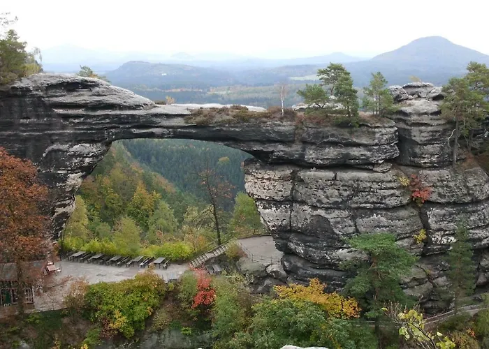 Boruvka * Česká Kamenice