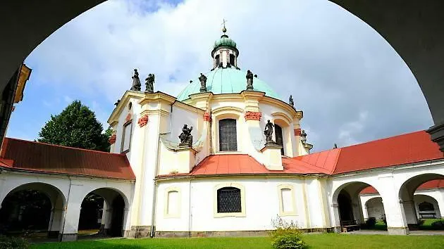 Boruvka Ceska Kamenice